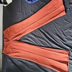 Size 6 burnt orange Express pants